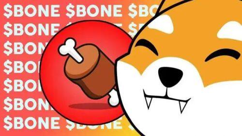 什么是Bone ShibaSwap(BONE)币-第1张图片-芝麻交易所下载